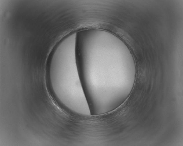 X0000070170578200605261007