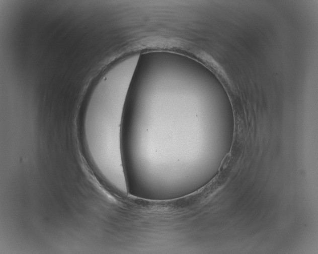 X0000070170581200605261007
