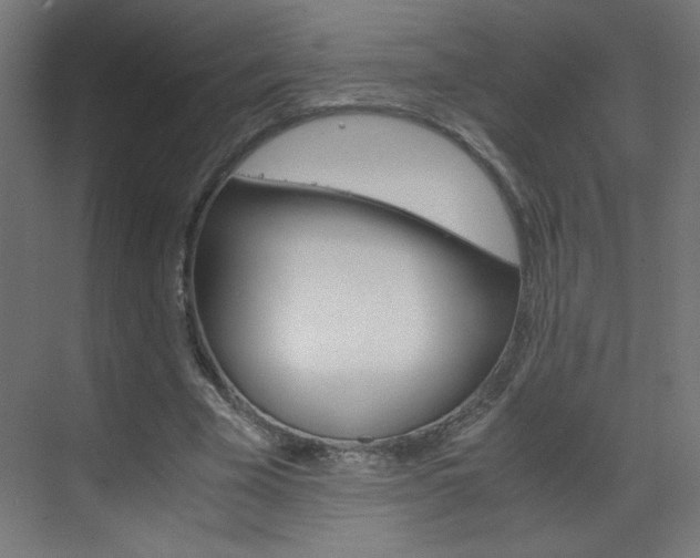 X0000070170585200605261007