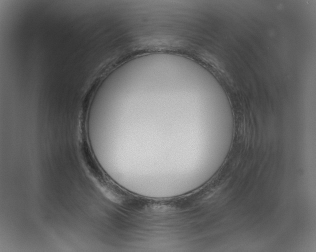 X0000070170590200605261006