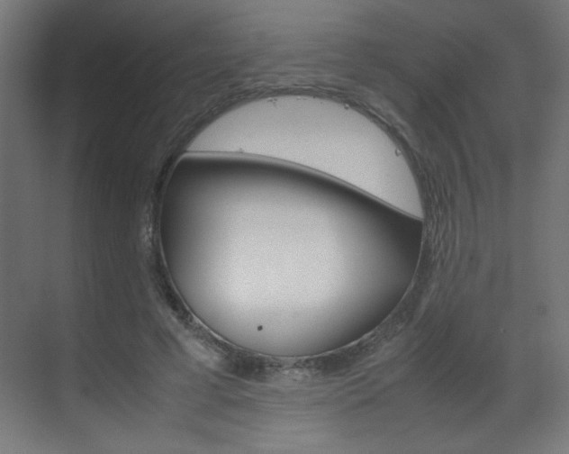 X0000070170593200605261006