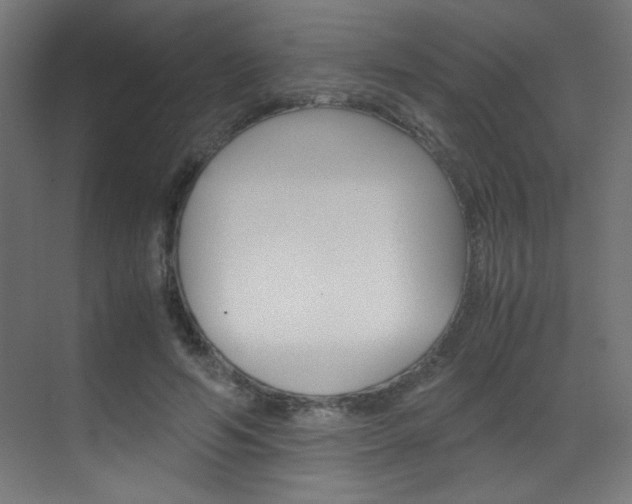 X0000070170594200605261006
