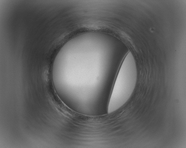 X0000070170596200605261006