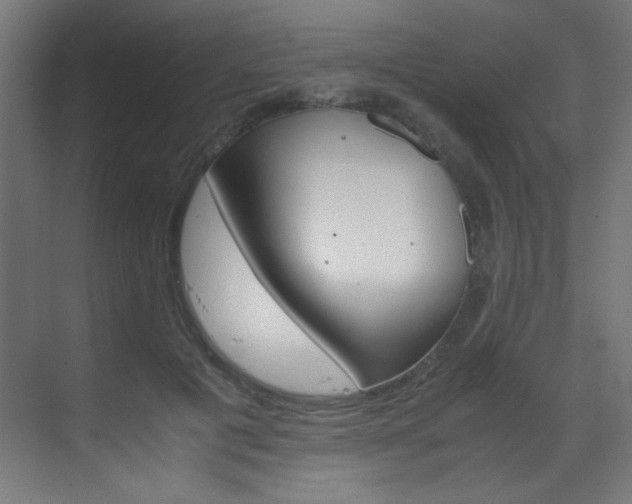 X0000070170601200605261006