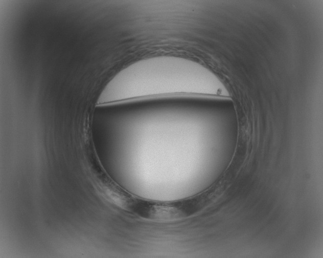 X0000070170605200605261006