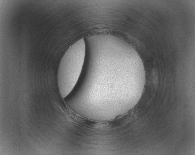 X0000070170606200605261006