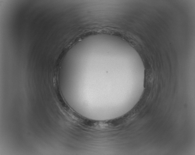 X0000070170607200605261006