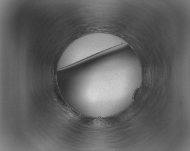 X0000070170608200605261006
