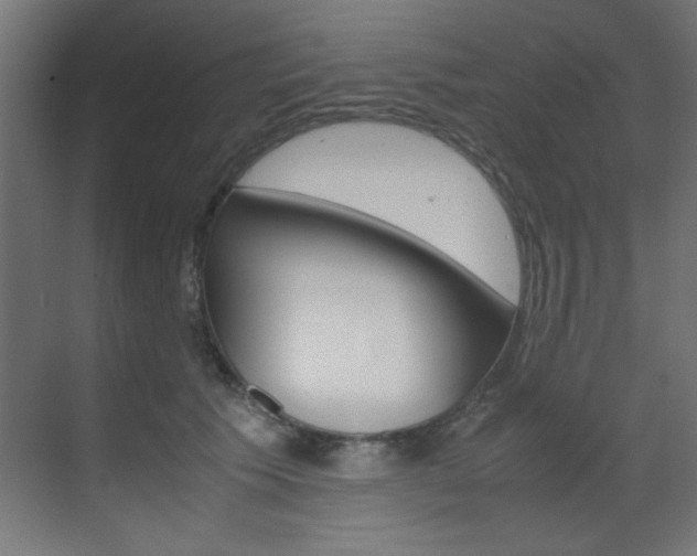 X0000070170609200605261006