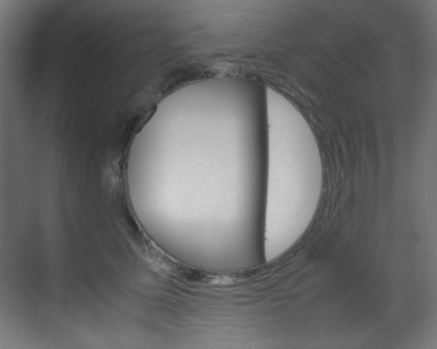 X0000070170611200605261006