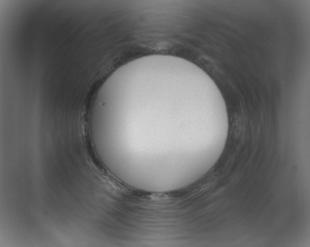 X0000070170612200605261006