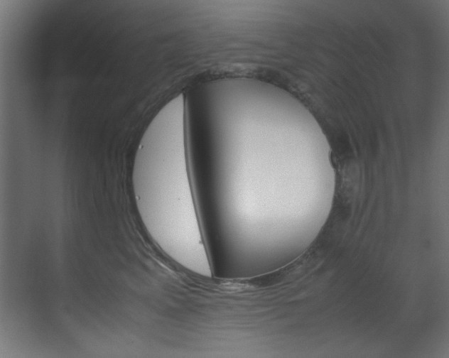 X0000070170617200605261006