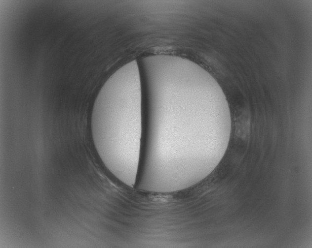 X0000070170618200605261006