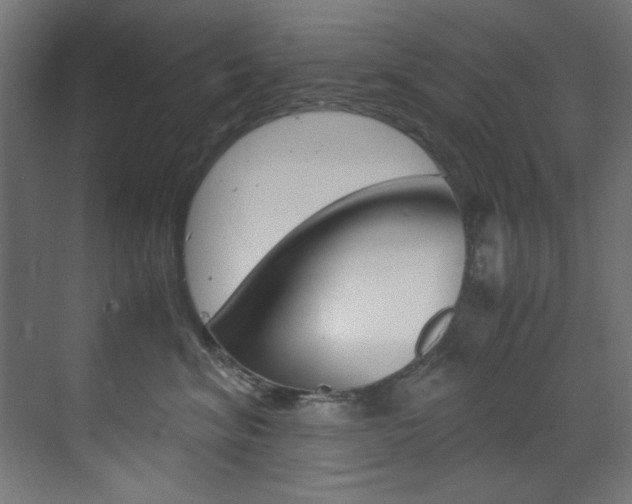 X0000070170620200605261006