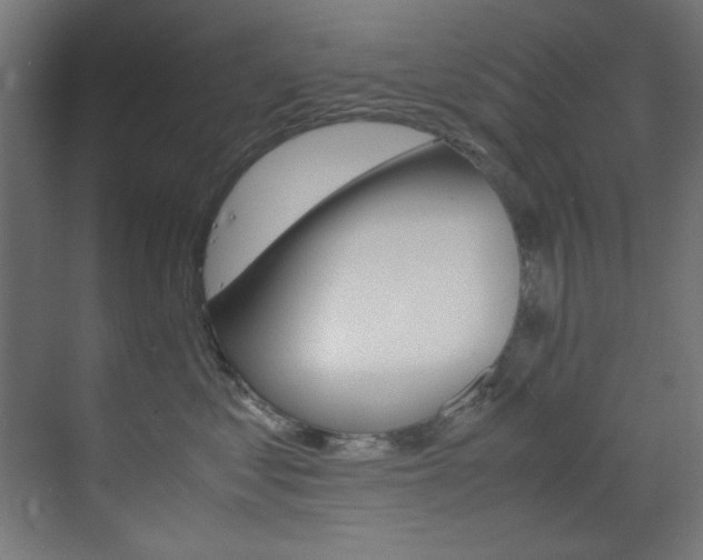X0000070170621200605261006