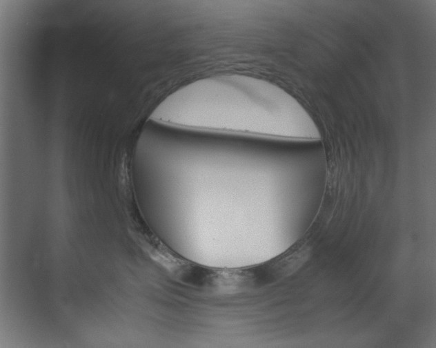 X0000070170623200605261006
