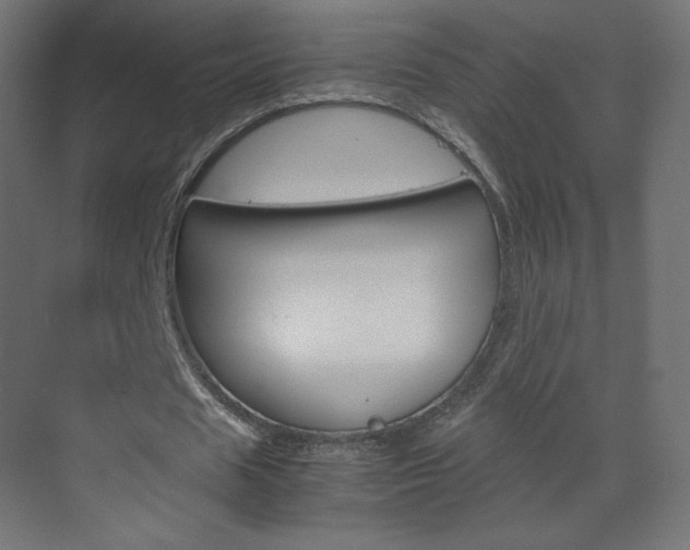 X0000070170625200605261005