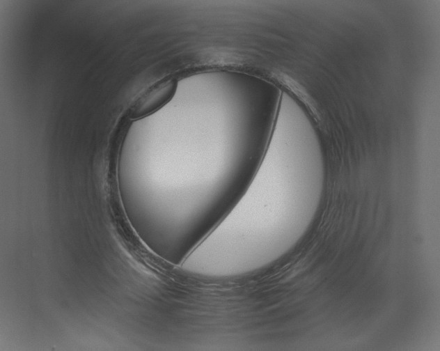 X0000070170627200605261005