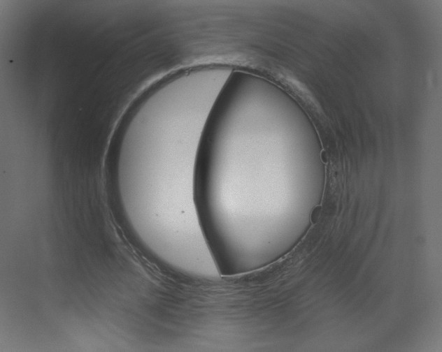 X0000070170628200605261005