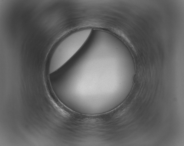 X0000070170629200605261005