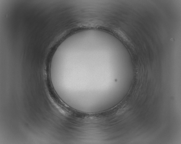 X0000070170634200605261005