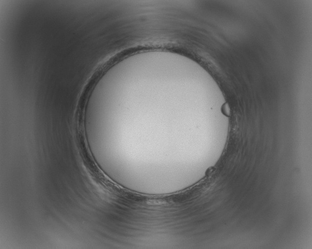 X0000070170636200605261005
