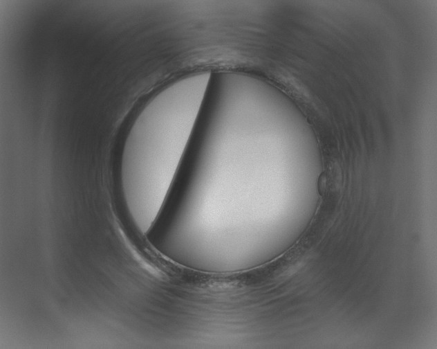 X0000070170638200605261005
