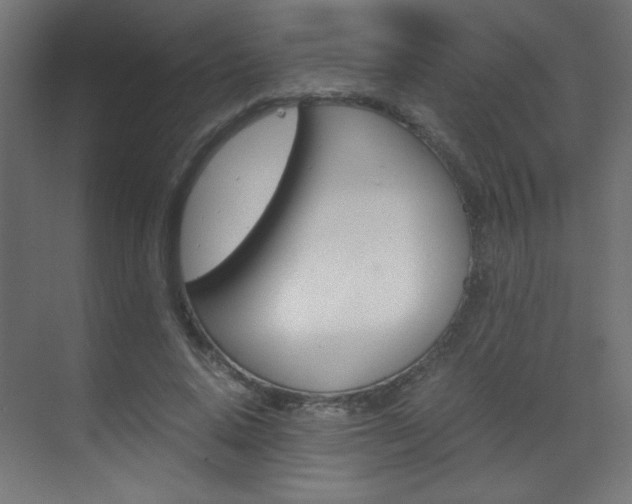X0000070170640200605261005
