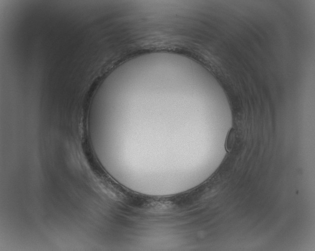 X0000070170642200605261005