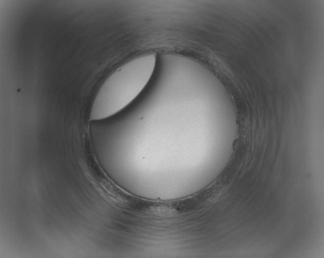 X0000070170644200605261005