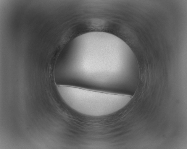 X0000070170647200605261005