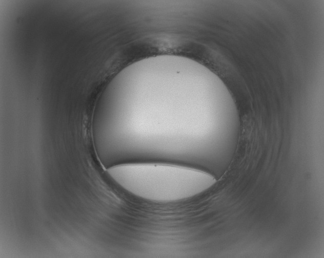 X0000070170650200605261006