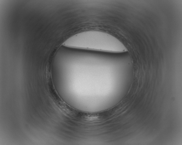 X0000070170651200605261006
