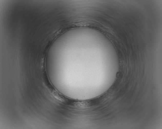 X0000070170652200605261006