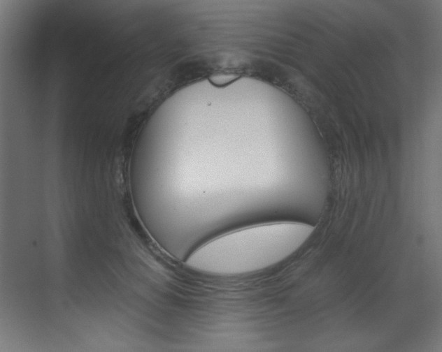 X0000070170654200605261006