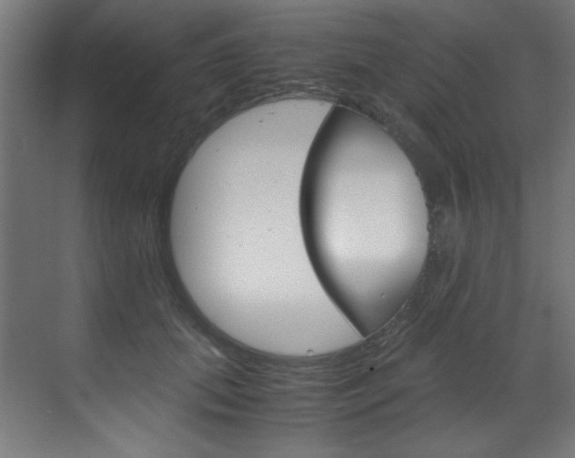 X0000070170655200605261006
