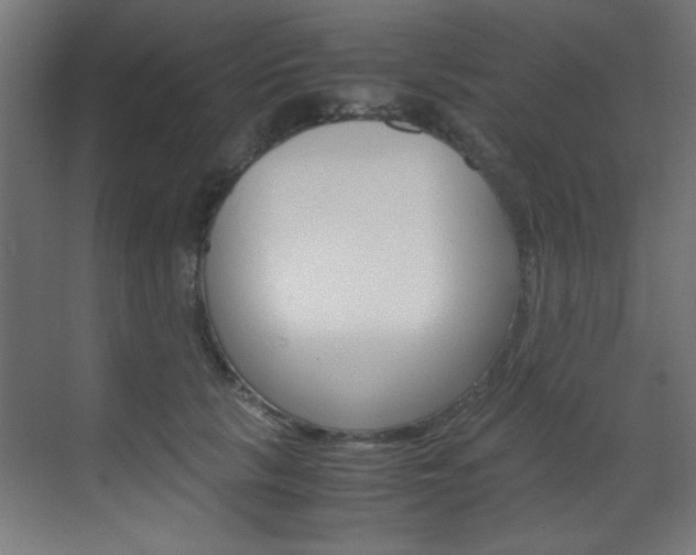 X0000070170657200605261006