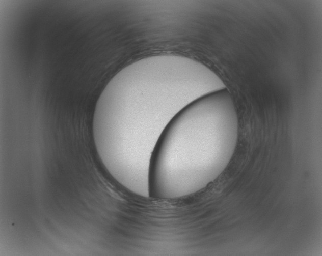 X0000070170658200605261006