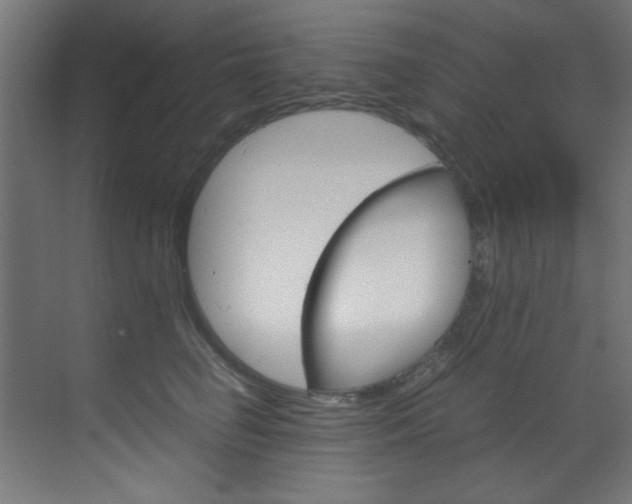 X0000070170662200605261006