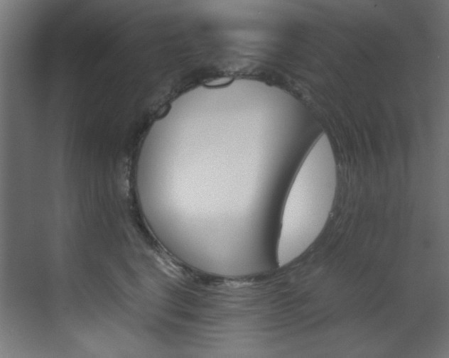 X0000070170664200605261006