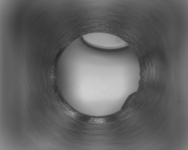 X0000070170665200605261006