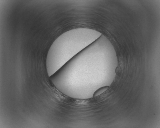 X0000070170667200605261006