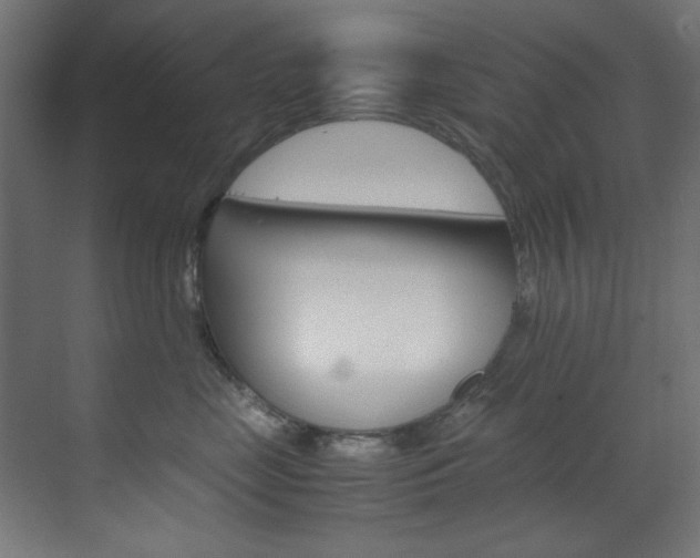 X0000070170669200605261006