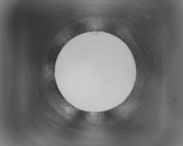 X0000070170672200605261006