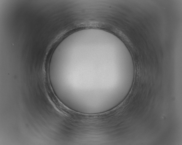 X0000070170674200605261005