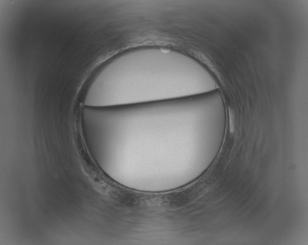 X0000070170675200605261005