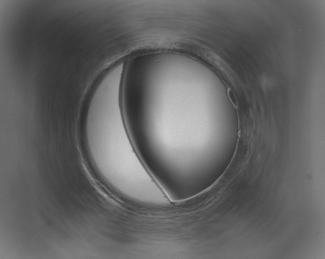 X0000070170677200605261005