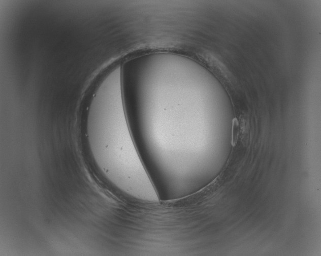 X0000070170684200605261005