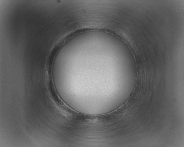 X0000070170688200605261005