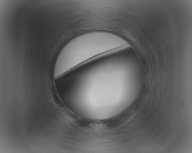 X0000070170689200605261005